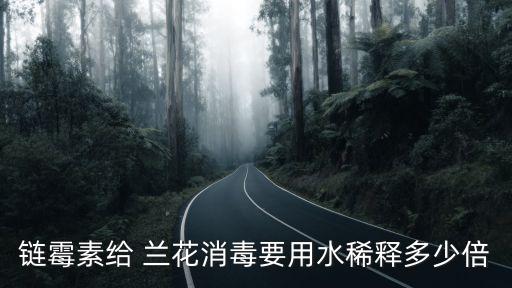 蘭花需要打什么農(nóng)藥,蘭花可以打農(nóng)藥嗎
