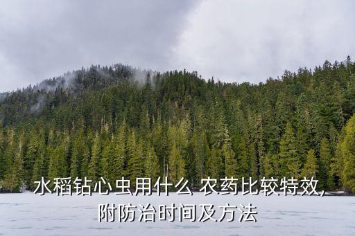  水稻鉆心蟲用什么 農藥比較特效,附防治時間及方法