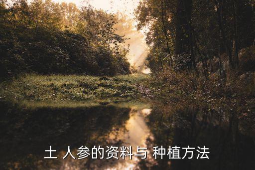 土 人參的資料與 種植方法