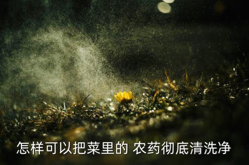 怎樣可以把菜里的 農藥徹底清洗凈