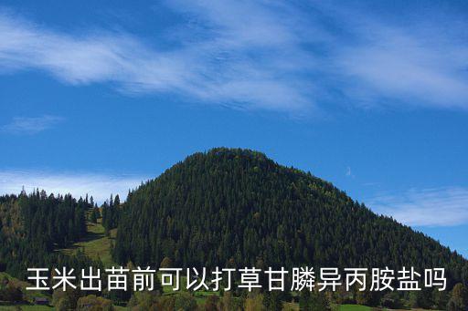  玉米出苗前可以打草甘膦異丙胺鹽嗎