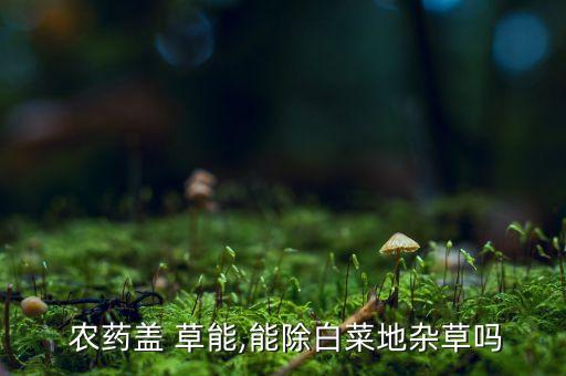  農藥蓋 草能,能除白菜地雜草嗎