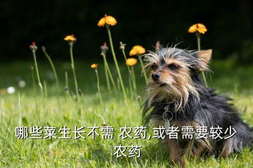 哪些菜生長(zhǎng)不需 農(nóng)藥,或者需要較少 農(nóng)藥