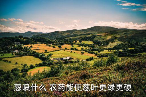 蔥噴什么 農藥能使蔥葉更綠更硬