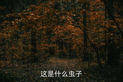 這是什么蟲子