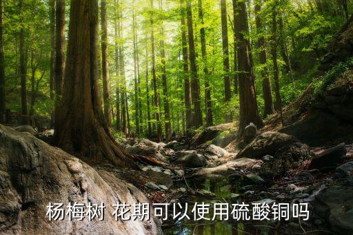  楊梅樹 花期可以使用硫酸銅嗎