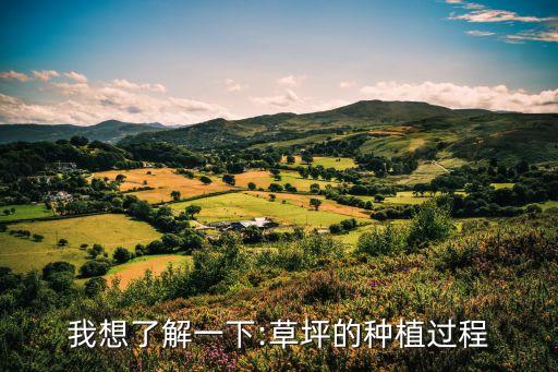 什么農藥可除竹節草,竹節草的圖片長什么樣