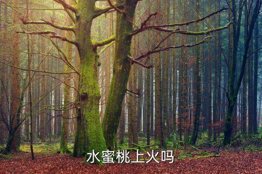 水蜜桃上火嗎