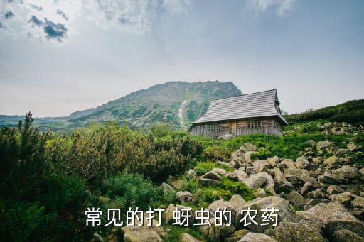 常見的打 蚜蟲的 農(nóng)藥