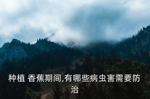 香蕉打農藥用什么,香蕉農藥超標什么原因