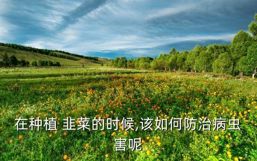 韭菜發霉用什么農藥,韭菜什么季節農藥最多