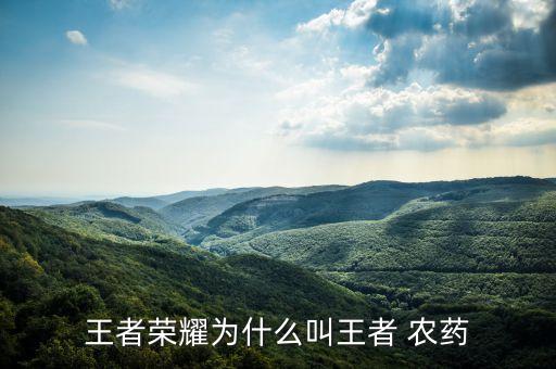 網上說的農藥什么意思,農藥產品標準號什么意思