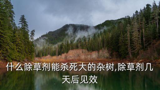 草甘氯吡是什么農(nóng)藥,閩南語含草甘是什么