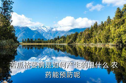 苦瓜用什么農藥好,苦瓜一般打什么農藥