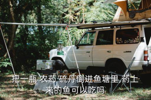 把一瓶 農藥 硫丹倒進魚塘里,藥上來的魚可以吃嗎