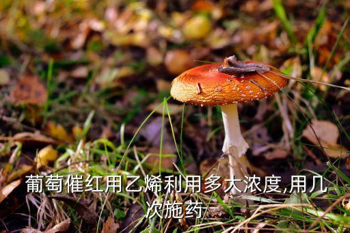 葡萄用什么農(nóng)藥打葉面肥