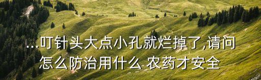...叮針頭大點小孔就爛掉了,請問怎么防治用什么 農(nóng)藥才安全