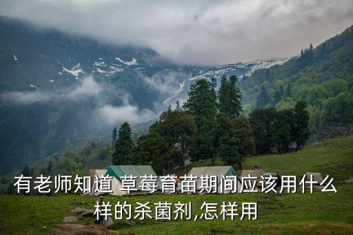 有老師知道 草莓育苗期間應(yīng)該用什么樣的殺菌劑,怎樣用