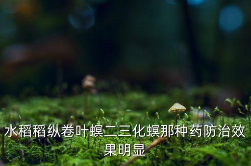 水稻稻縱卷葉螟二三化螟那種藥防治效果明顯