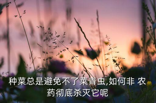 種菜總是避免不了菜青蟲,如何非 農(nóng)藥徹底殺滅它呢
