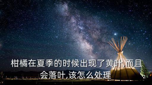  柑橘在夏季的時候出現(xiàn)了黃葉,而且會落葉,該怎么處理