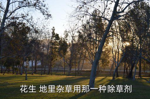  花生 地里雜草用那一種除草劑