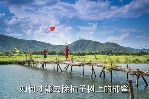 鱉用什么農藥,農藥聞多了有什么后果