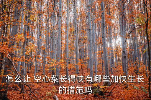 怎么讓 空心菜長得快有哪些加快生長的措施嗎