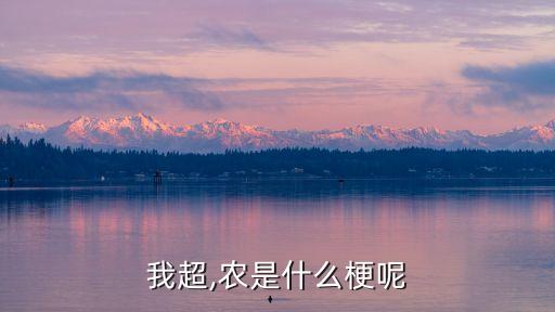 王者農(nóng)藥小凡是什么梗