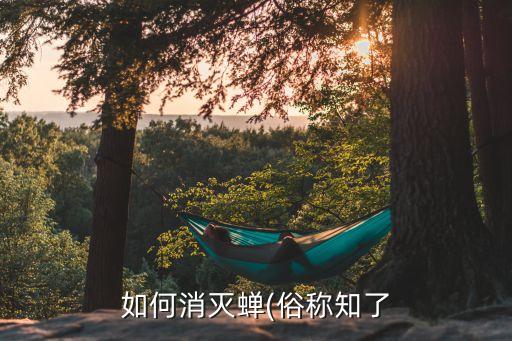 知了蟲子用什么農(nóng)藥,蔬菜有蟲子打什么農(nóng)藥