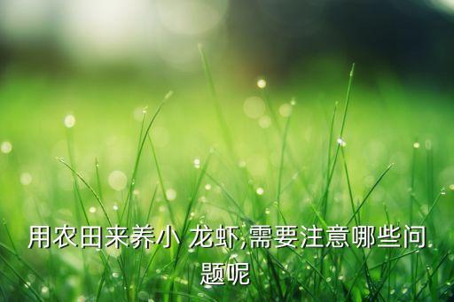 養龍蝦最怕什么農藥水,養魚池最怕什么農藥