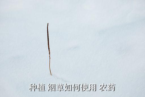 煙草用什么農藥特效最好,煙草打什么農藥