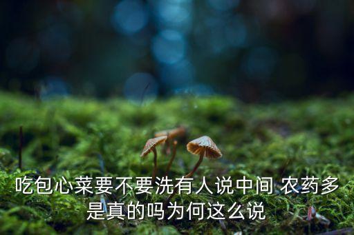 吃包心菜要不要洗有人說中間 農藥多是真的嗎為何這么說