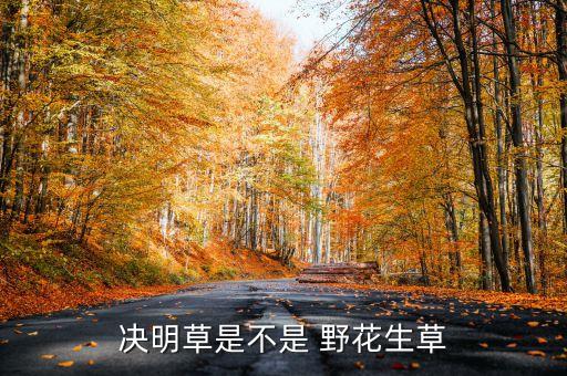 田里的野花生用什么農(nóng)藥