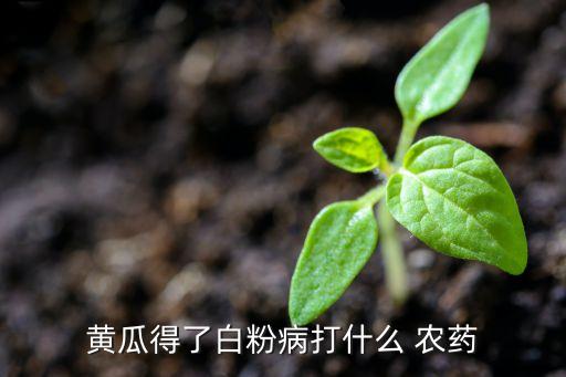 仙保是什么農藥,666粉是什么農藥