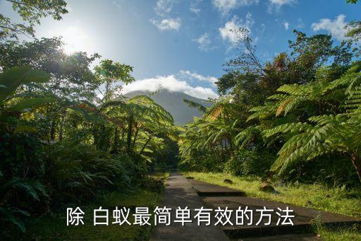 除 白蟻?zhàn)詈?jiǎn)單有效的方法