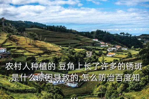 農(nóng)村人種植的 豆角上長(zhǎng)了許多的銹斑,是什么原因?qū)е碌?怎么防治百度知...