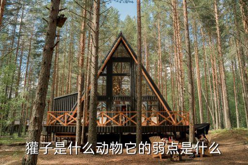 獾怕什么農藥,根腐病最怕什么農藥