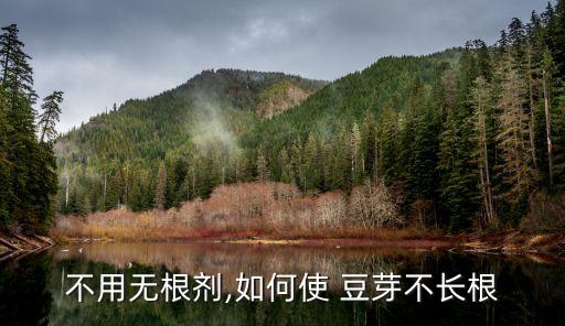種豆芽可以用什么農(nóng)藥
