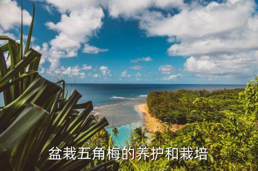 梅花 忌什么農藥,梅花用什么農藥好