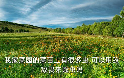 我家菜園的菜苗上有很多蟲,可以用敵敵畏來除蟲嗎