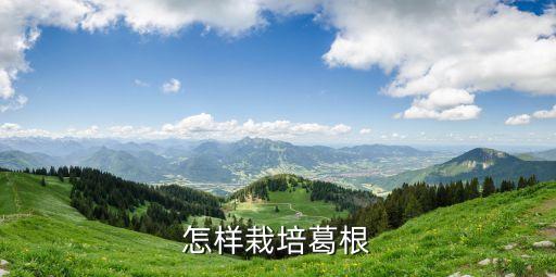 怎樣栽培葛根