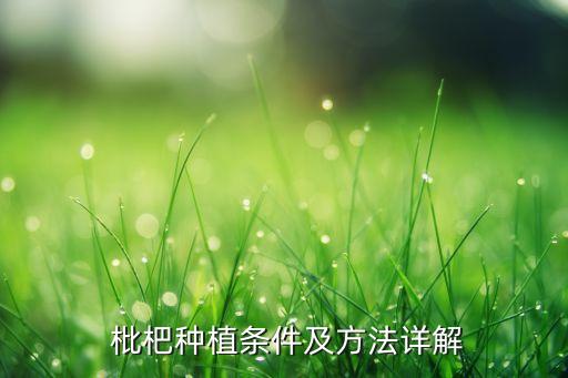  枇杷種植條件及方法詳解