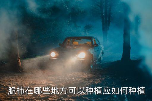  脆柿在哪些地方可以種植應如何種植