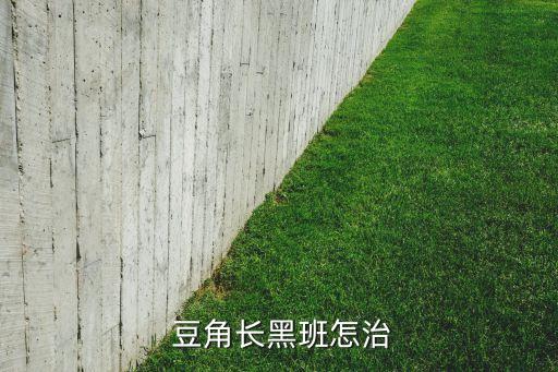 豆角菜有斑點用什么農藥,豆角有斑點打什么藥