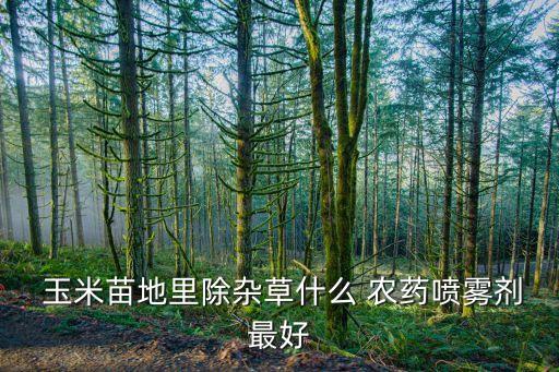  玉米苗地里除雜草什么 農藥噴霧劑最好