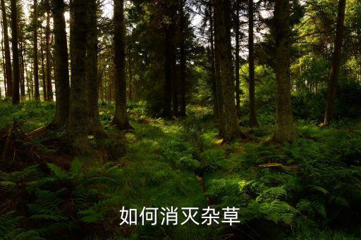 如何消滅雜草