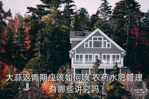 大蒜返青期應該如何噴 農藥水肥管理有哪些講究嗎