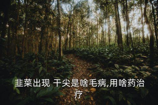 韭菜干尖用什么農(nóng)藥好,韭菜殘留什么農(nóng)藥