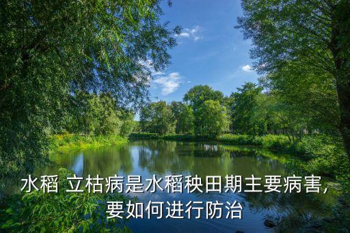 苗期立枯病用什么農藥,立枯病用什么農藥最好